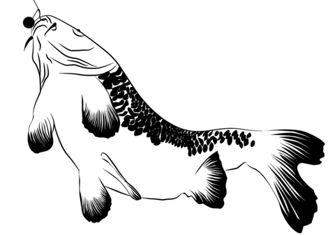 Carp On Hook Coloring Page